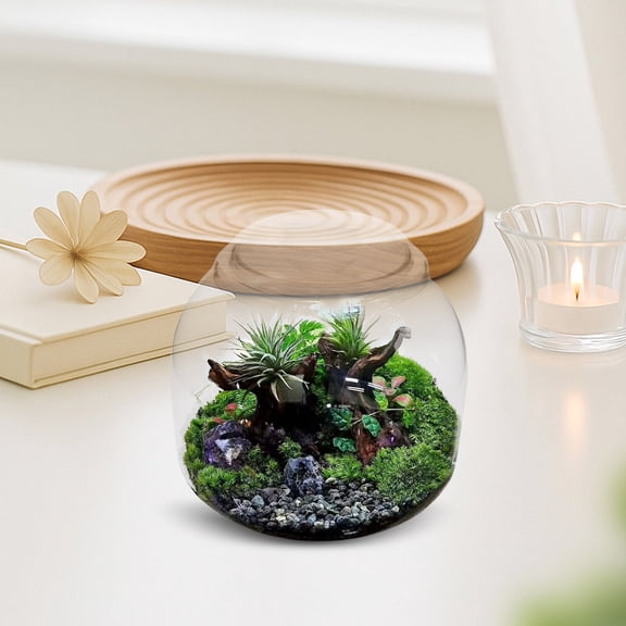 LOLIPPYY Transparent Plant Propagation Vase for Succulents and Moss with Clear Visibility Glass