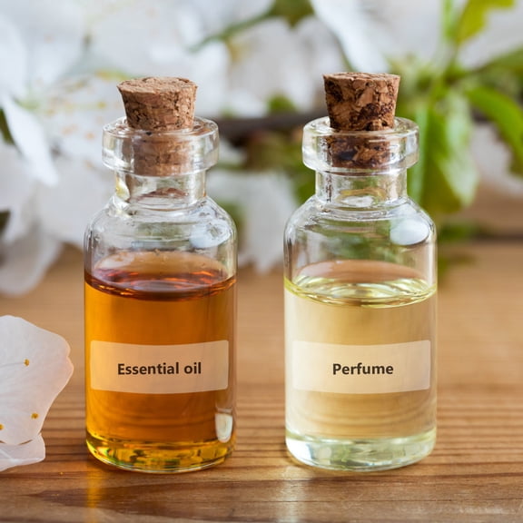 LOLIPPYY Clear Self-Adhesive for Label Makers, Perfect for Home, Office, and Retail Shops Use