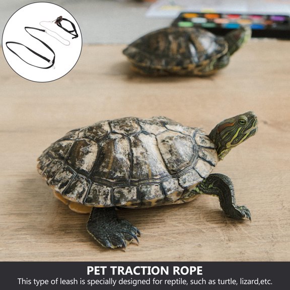 LOLIPPYY Turtle Training Leash Pet Rope Leash Faux 1Pack for Walking Pet Owners