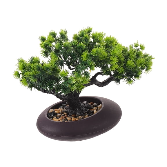 LOLIPPYY Unique Japanese Pine Bonsai Tree for Sushi Plate and Dining Table Decor