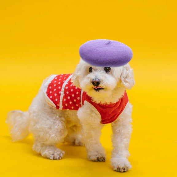 LOLIPPYY Violet Pet Beret Hat Stylish Dog Cap Soft Breathable Yarn Hat for Yearround Comfort