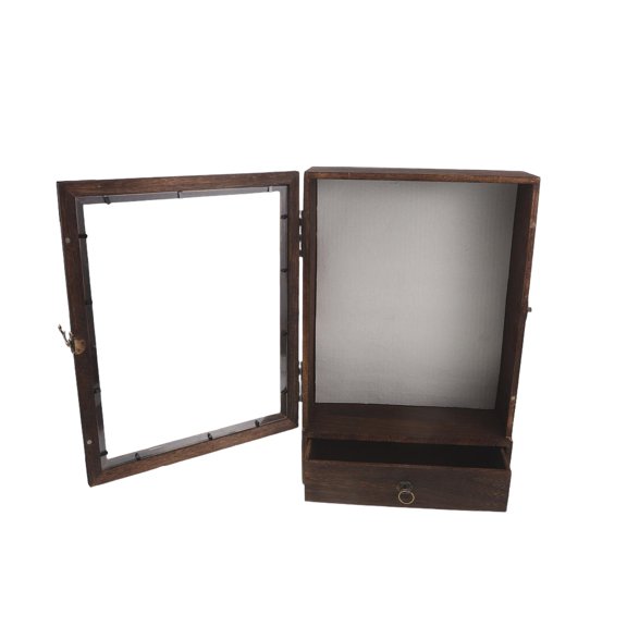 LOLIPPYY Wall Mounted Coffee Shadow Box Display Case with Clear Cover for Memorabilia