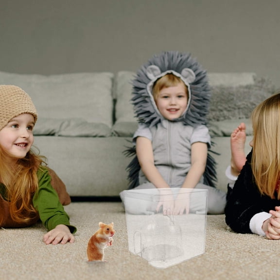 LOLIPPYY Water Cooling Nest for Hamsters Plastic Summer Hideout Pet Supply for Animals Dimensions