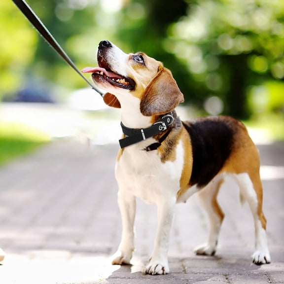 LOLIPPYY Wear Resistant Black Pet Collar with Adjustable Size for Dogs and Cats