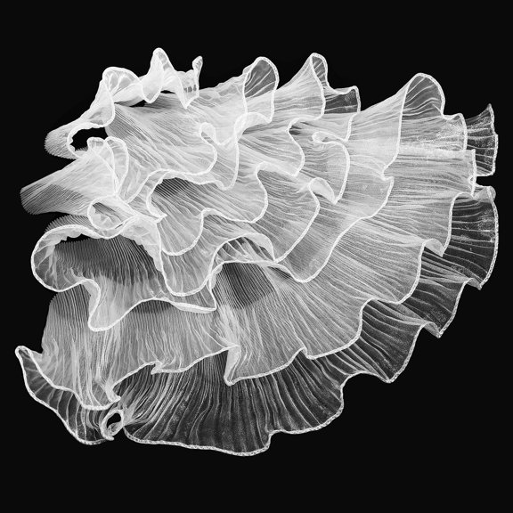 LOLIPPYY White Pleated Ruffle Trim Ribbon for Sewing Polyester Fabric with Elegant Wave Edge Decoration