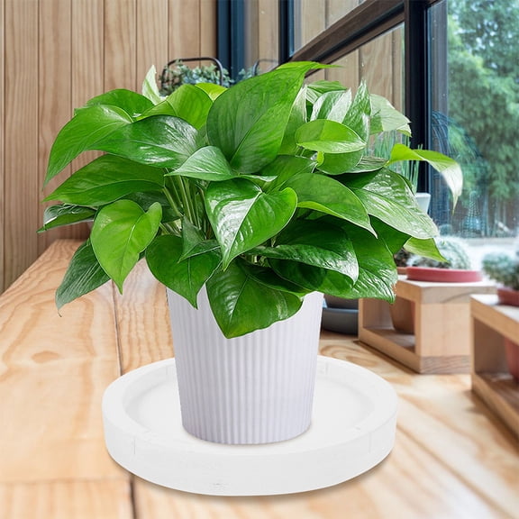 LOLIPPYY White Round Planter Tray with Thick Cement Texture for Indoor Plants Decorative Humidity Pebble Tray