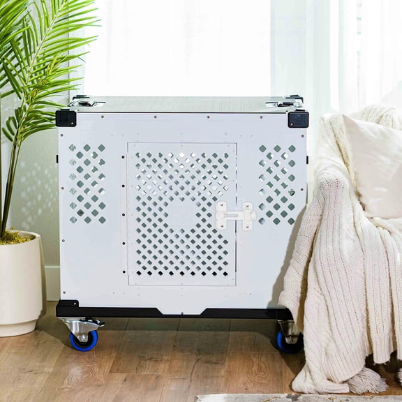 LOLIPPYY White Stainless Steel Bolt Lock for Shed Doors and Gate Latches Heavy Duty Design