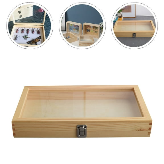 LOLIPPYY Wooden Shadow Box for Butterfly Specimen Photo Frame 1Pack