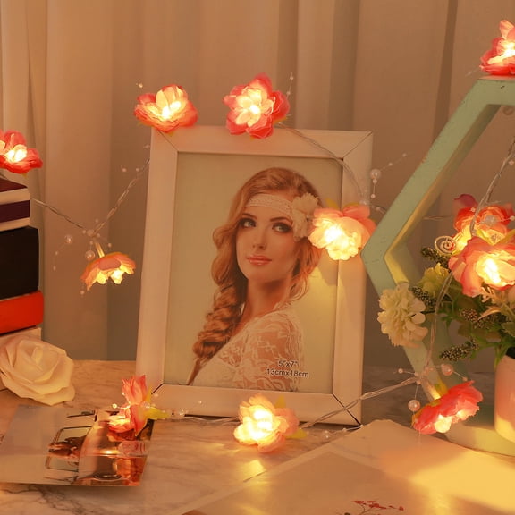 LOLIPPYY Decorative String Lights Battery Operated Indoor for Events and Party Organizers 1 Set