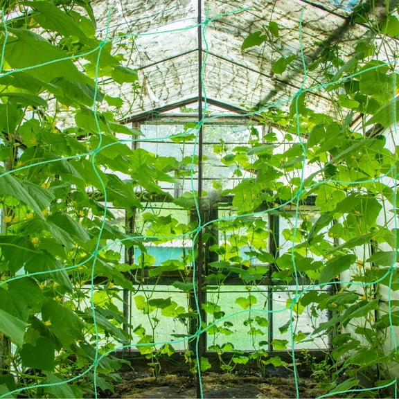 LOLIPPYY flower trellis Garden Netting Nylon Support Climbing Plants Set