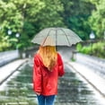 thumbnail image 1 of LOLIPPYY sun umbrellas for women Umbrella Black 1Set for Shopping, 1 of 8