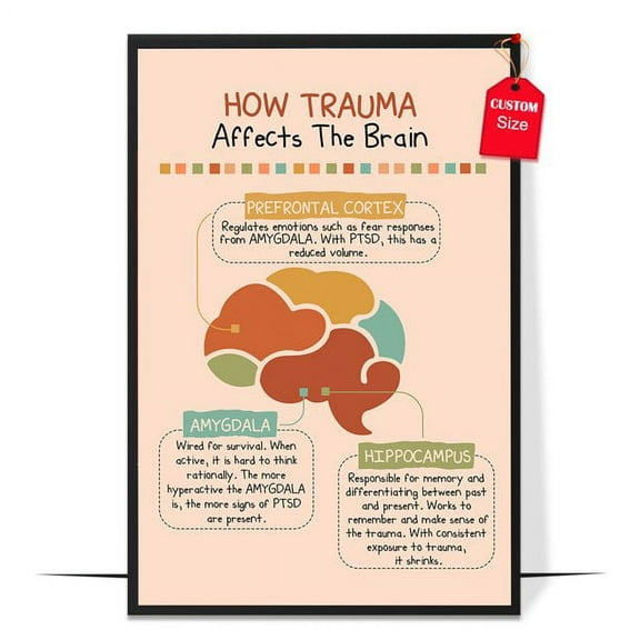 LOLUIS How Trauma Affects The Brains Poster, Boho Mental Health Posters , School Counselor Poster (Unframed 11"x17")