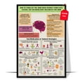 thumbnail image 1 of LOLUIS Natural Treatments for ADHD Poster, Attention Deficit Hyperactivity Disorder Poster, Therapy Posters for Kids Teens (Unframed 16"x24"), 1 of 7