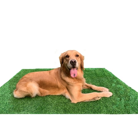 LOMANTOWN 51" x 40" Artificial Grass for Dogs Potty Training, Washable Reusable Turf Grass Pee Pads for Small to Large Dogs