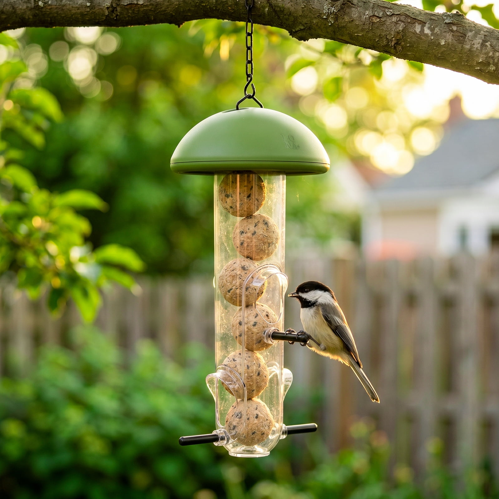 LONA Suet Ball Bird Feeder Outdoor Hanging Fat Ball Feeders, Durable Weatherproof Washable for Wild Birds