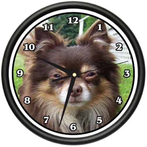 LONG HAIR CHIHUAHUA Wall Clock dog doggie pet breed gift