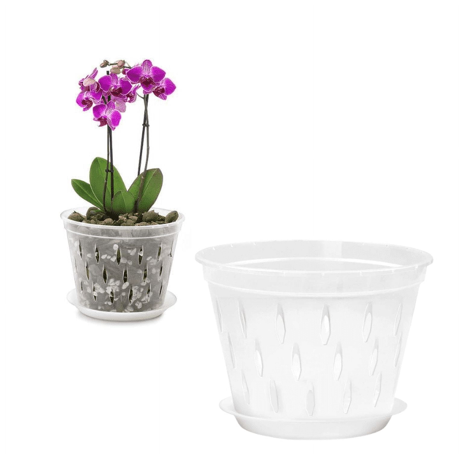 LONGRV 1PC Orchid Pot 5 inch with Holes and Saucers, Clear Plastic