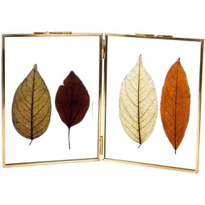 LONGWIN Gold Double 8x10 Folding Floating Picture Frames Vintage Square Brass Double Sided Glass Press Flowers Artwork Certificate Frames Plants Specimen Clip