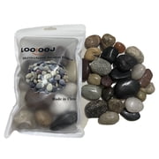 LOOIOOJ 2lbs Large River Rocks   1 Inch Natural Landscaping Stones, Bulk Unpolished Pebbles for Garden, Fish Tank, Pathways, Flower Pots & Backyard Decor   Premium Mixed Color Stones Hand-Picked
