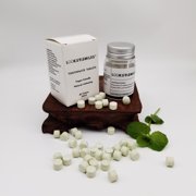LOOKS'NSMILES VEGAN Toothpaste Bits