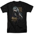 thumbnail image 1 of LOR/GIMLI - S/S ADULT 18/1 - BLACK - SM, 1 of 1
