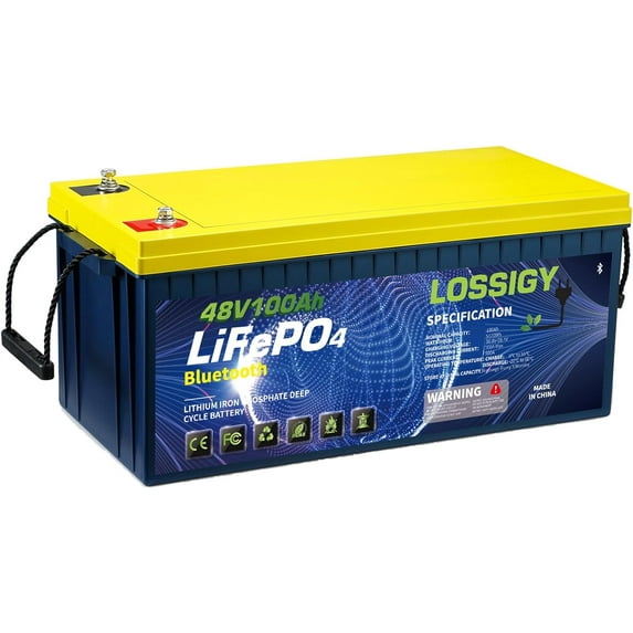 LOSSIGY 48V 100AH LiFePO4 Lithium Battery, Built in Bluetooth BMS with 10 Yrs Lifespan, Perfect for Golf Cart, Trolling Motor, Solar System, RV, Marine