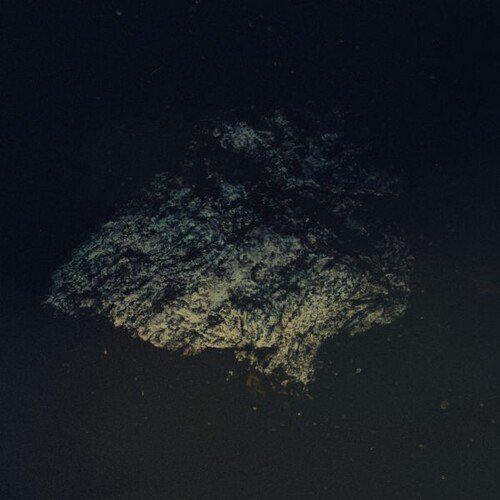 Multicast Dynamics - Lost World - Music & Performance - Vinyl