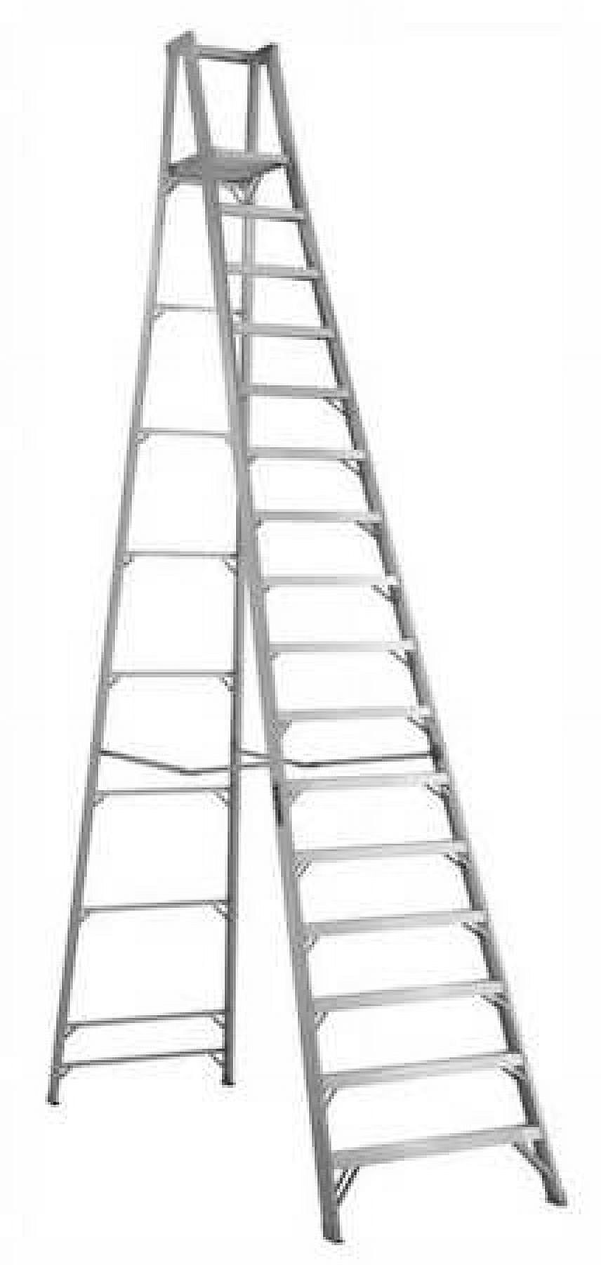 LOUISVILLE Platform Stepladder,15 ft 3",Alum.,300lb AP1016
