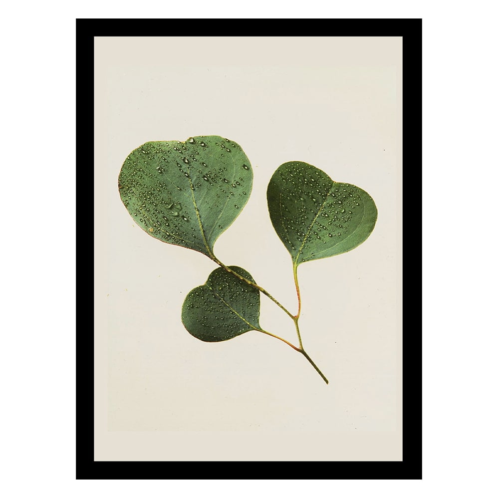 Love Leaves Green Botanical Framed Print for Kids