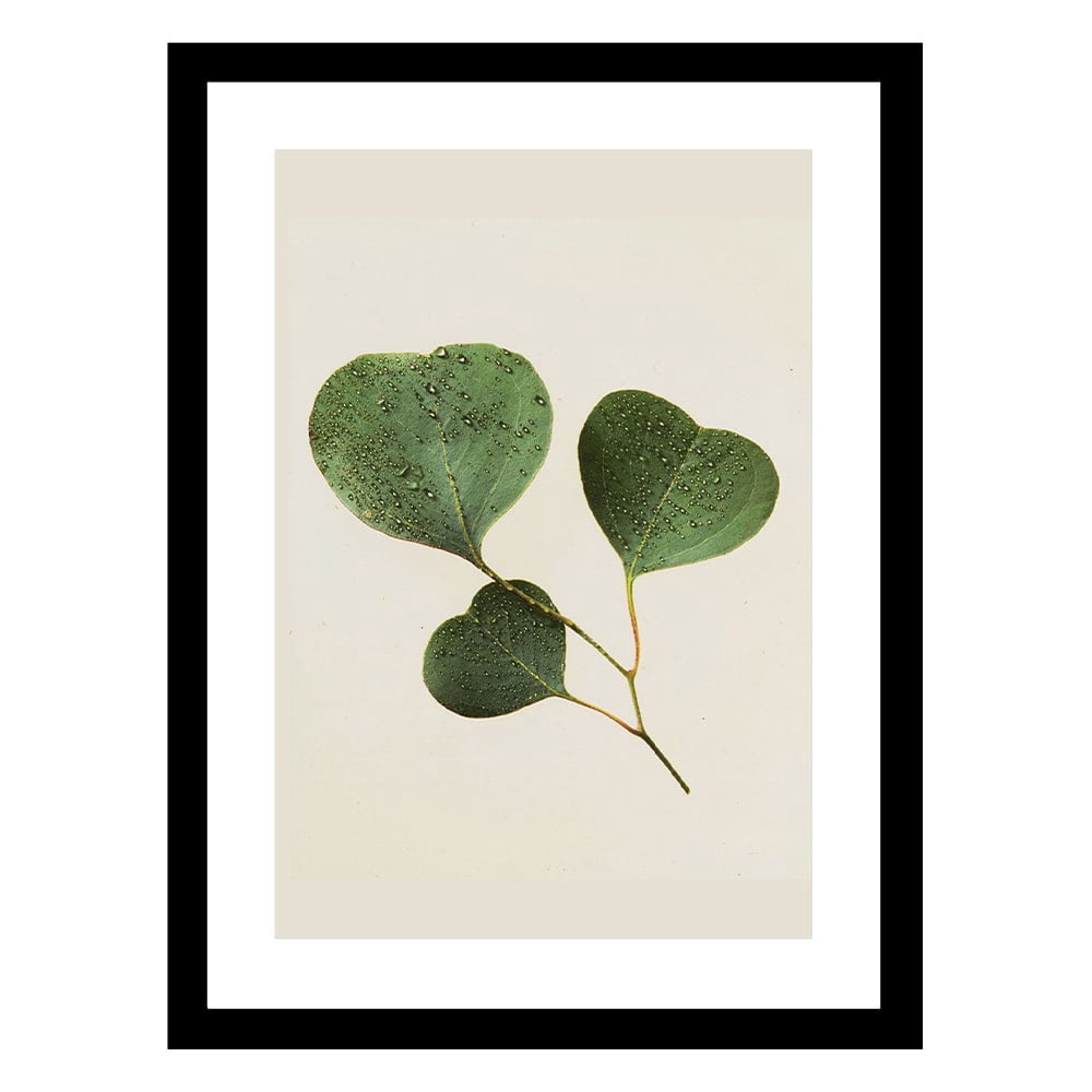 LOVE LEAVES Framed Printed Photograph
