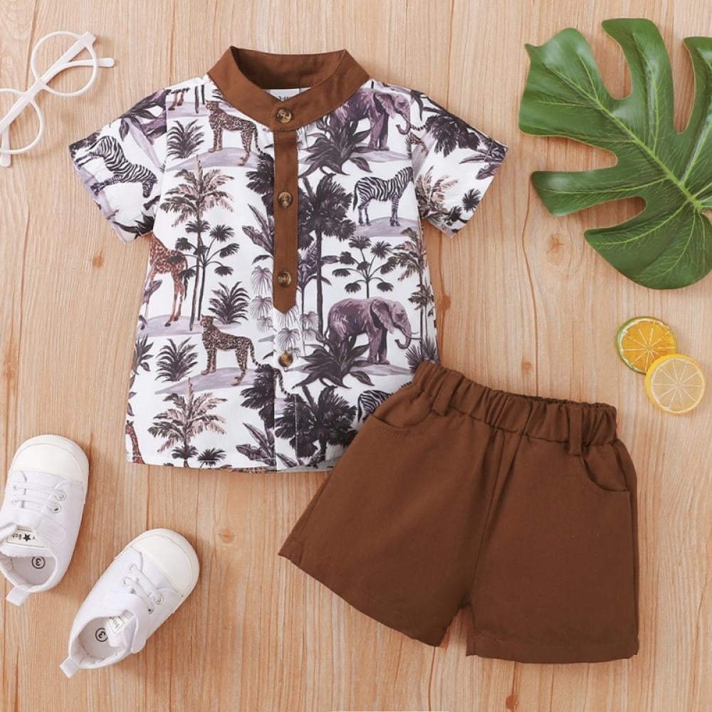 2-piece Kid Boy Animal Dinosaur Print Short-sleeve Tee and Colorblock Shorts Set