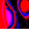 thumbnail image 1 of LOVESICK, 1 of 1