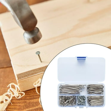 LOVIVER Round Head Nails Furniture, Miniature Nail Assortment Furniture Hardware Accessories with Box for Craft Projects Hinges Boxes 350