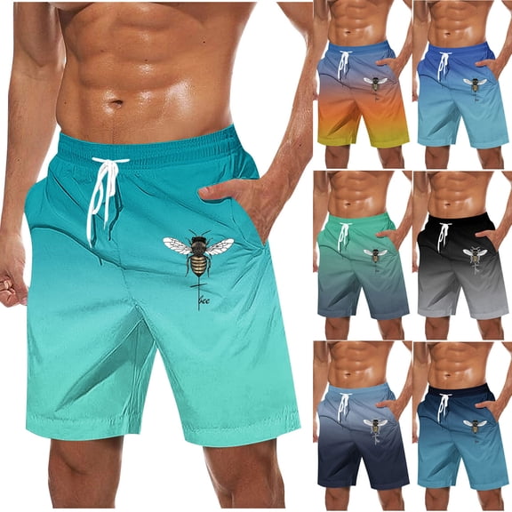 LOVZFMLL Men's Shorts Swim Trunks Quick Dry Beach Board Shorts with Pockets Gradient Color Bathing Suits for Men Swimwear Sky Blue S