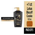 thumbnail image 1 of LOreal Paris Elvive Total Repair 5 Reparing Shampoo for Damaged Hair 28.0 fl oz - Pack of 5 & Lotus Biscoff Cookie - 0.2 Oz - 1 ct, 1 of 5