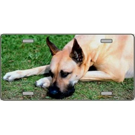 LP-2171 Great Dane Dog Pet Novelty License Plates- Full Color Photography License Plates