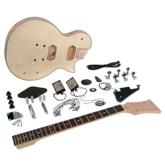 LP Style Electric Guitar Kit
