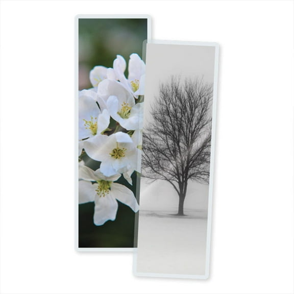 LP10BKMED - TruLam Thermal Laminating Pouches 10 Mil 2-1/2 in x 7-3/4 in (Medium Bookmarks Size) -100/Bx