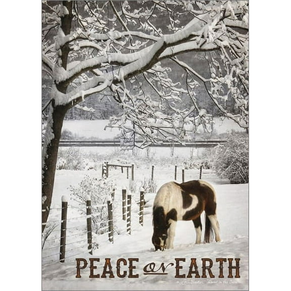 LPG Greetings Brown and White Horse in Snow: Lori Deiter Country Christmas Card (1 card/1 envelope)