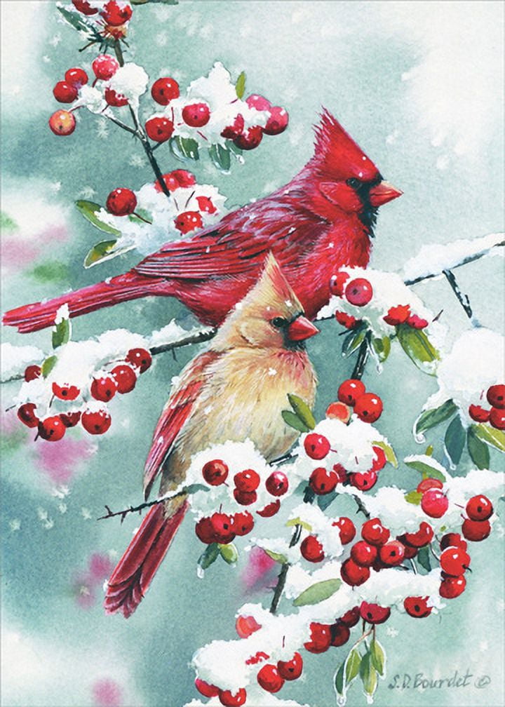 heart Christmas cards. Christmas heart cards. set of 10. cardinal christmas  cards, snowman, snowy owl cards, sled, holly