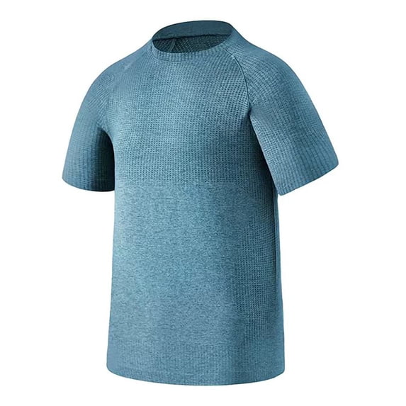 LPZOOGU Men's Quick Dry Cationic Short Sleeve T-Shirt Crew Neck Solid Color Spring Summer Casual Athletic Tops