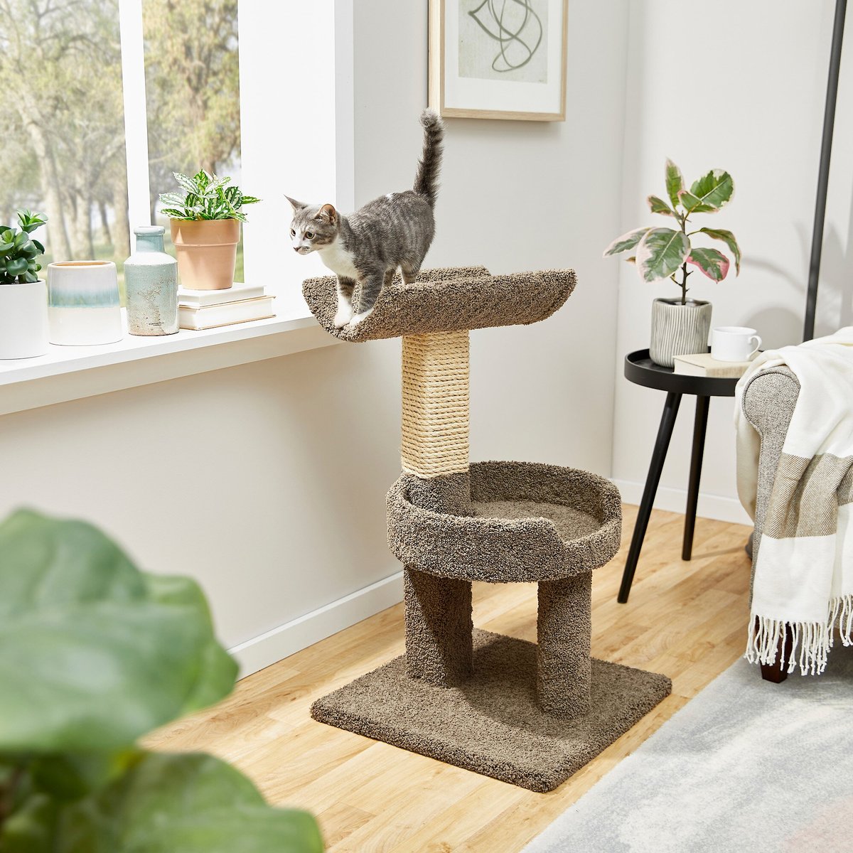 LQQ 30in Real Carpet Wooden Cat Tree