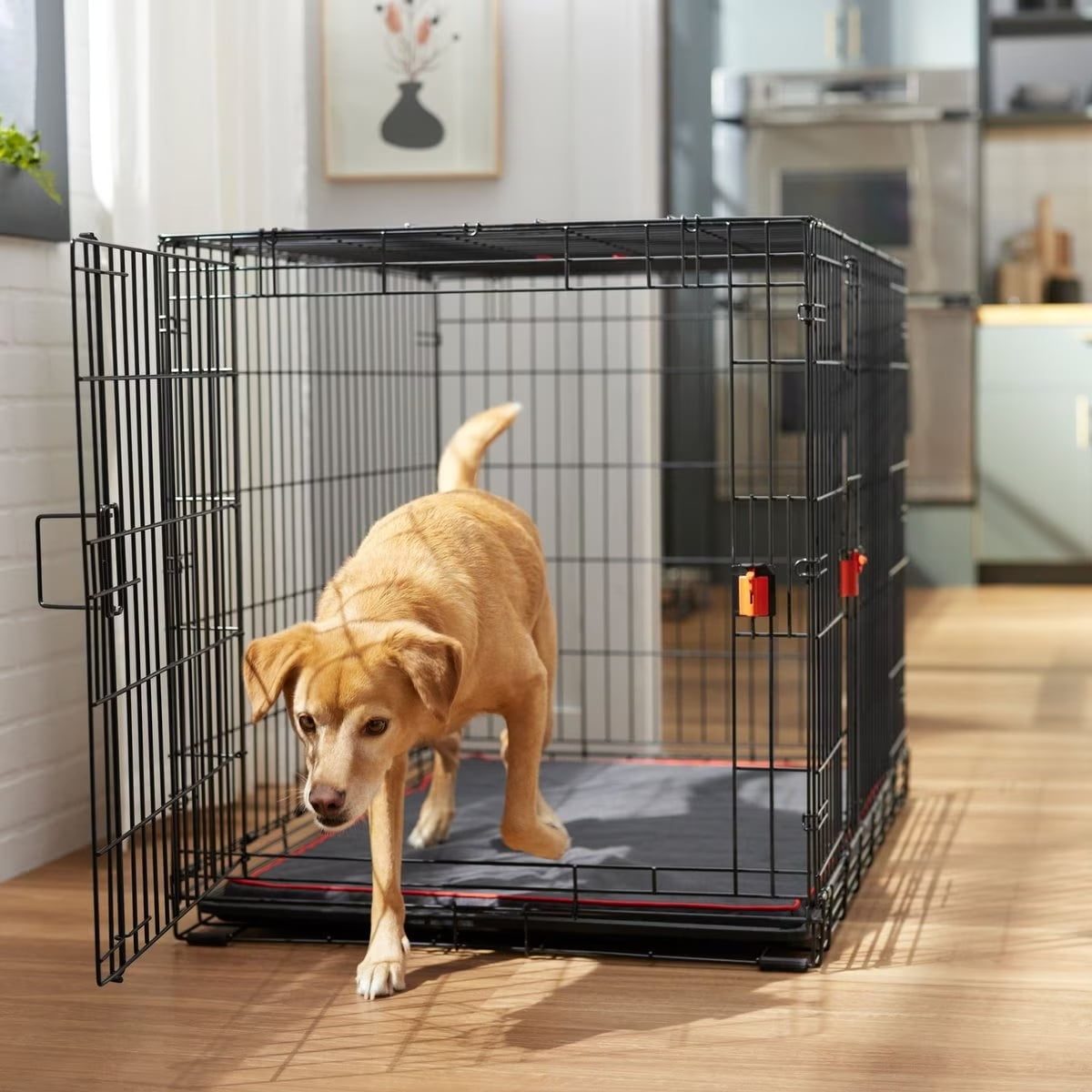 LQQ Heavy Duty Enhanced Lock Double Door Fold & Carry Wire Dog Crate