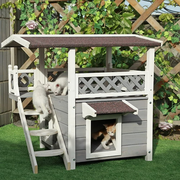 Cedar 2024 cat house