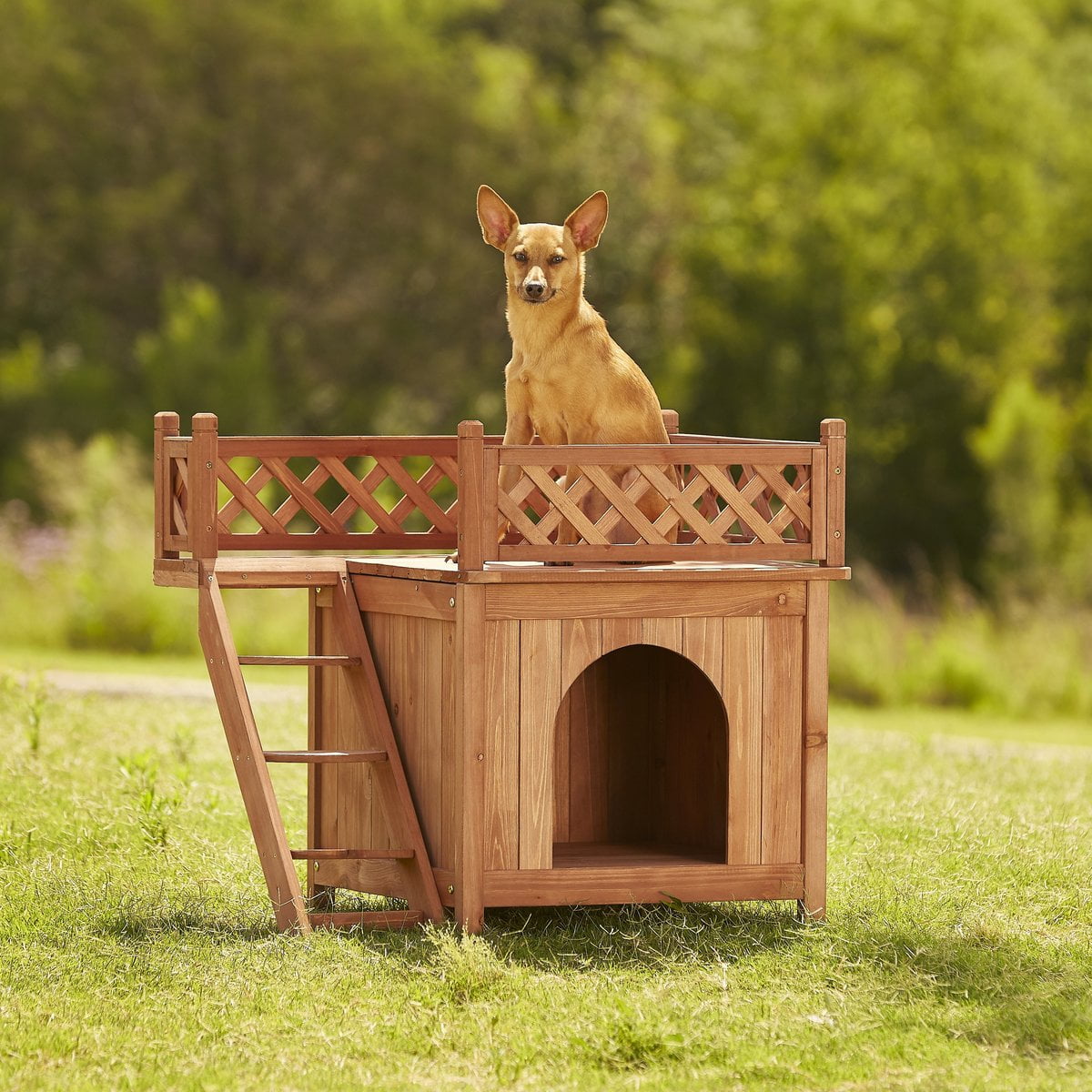 caseta para perro en exterior  Dog house diy, Cool dog houses