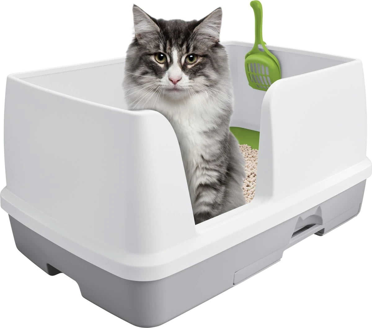 LitterBox cat (Arenero gato)