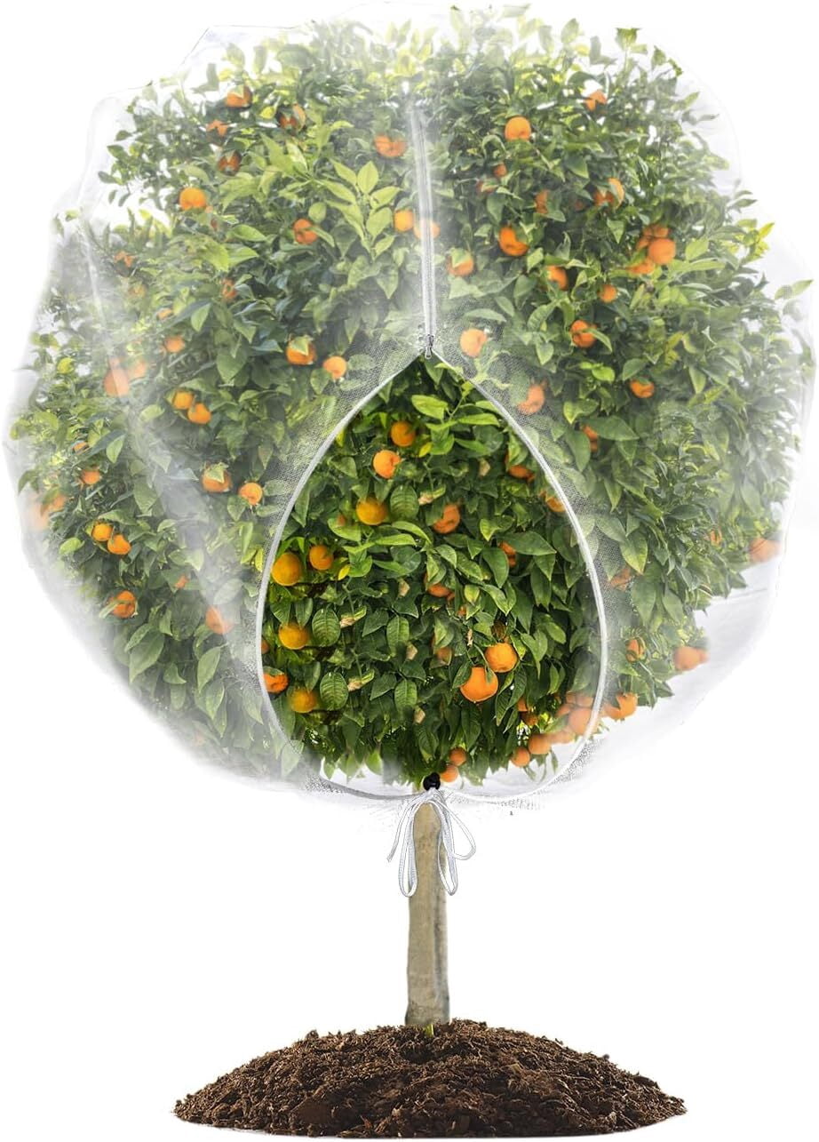 LQQBOX 1PCS Fruit Tree Netting with Drawstring and Zipper, 6.56 x 7.87 FT Blueberry Bush Netting Cover, Garden Bird Netting Plant Cover for Protect Plant Fruit Flower from Birds, Bugs, Cicadas