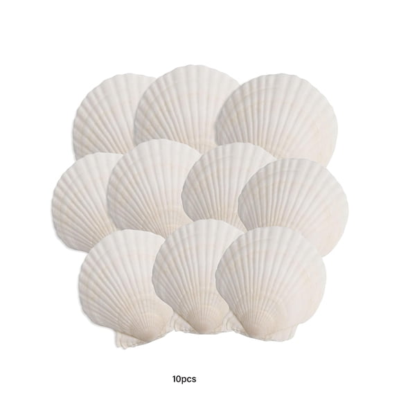 LQSEO 10Pcs Scallop Shells, 4''-5'' White Seashells,For Diy Crafts, Painting, Ocean Themed Parties and Home Decorations. Seashells