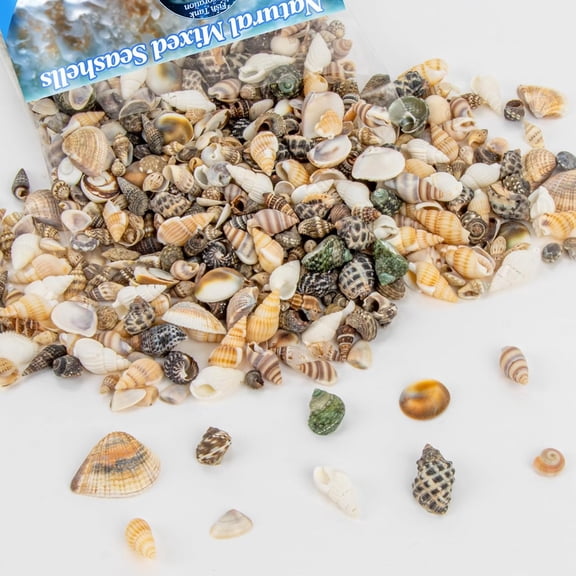 LQSEO 11.28Oz Natural Tiny Seashells for Crafts - Mixed, 0.2-0.8 in | Small Ocean Beach Shells for Diy Crafts, Vase Filler, Coastal Home Decor, Wedding Tables & Beach Theme Parties