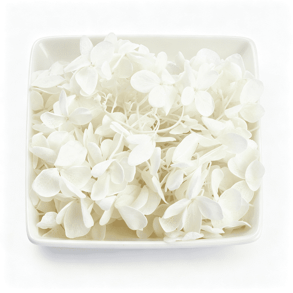 LQSEO 1500+ White Petals Dried Hydrangea Flower Petals for Flower Girl | 1.06Oz,Biodegradable Flower Petals,For Bridal Party Valentine'S Day Centerpiece Decor
